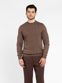 Джемпер Arber модель M10.39.38.531 Фото