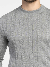 Светр чоловічий Arber сірий модель M10.45.12.531 Фото