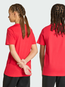 Футболка Collegiate Graphic Kids модель KE1335 Фото