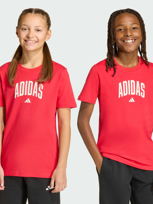 Футболка Collegiate Graphic Kids модель KE1335 Фото