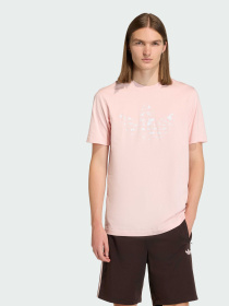 Футболка Adidas Graphics модель KT3092 Фото