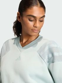 Худи и свитшоты Adidas модель KB4245 Фото