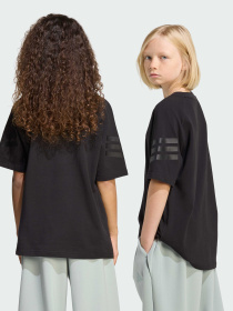 Футболка Adidas Культовые силуэты модель KC1964 Фото