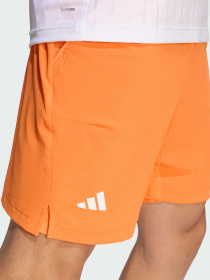 Спортивні шорти Adidas модель KF4707 Фото