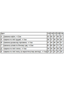 Теплий однотонний костюм для хлопчика: худі та штани, Графітовий Носи Своє (6314-025-4) модель 6314-025-4-nzhir Фото