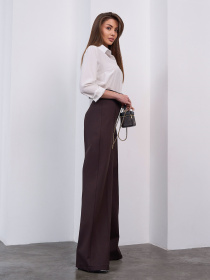 Повсякденні штани ISSA Plus модель 15463_темно-коричневый Повсякденні штани ISSA Plus модель 15463_темно-коричневый Фото