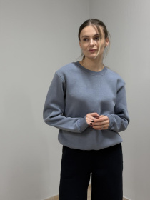 Світшот жіночий з начосом сірий модель M116.4-681 Фото