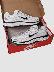 Кроссовки мужские Nike P-6000 (CD6404-107) модель CD6404-107 Фото