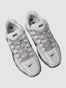 Кроссовки мужские Nike P-6000 (CD6404-107) модель CD6404-107 Фото