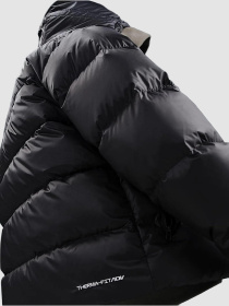 Пуховик NIKE M Windrunner Stmnt Dwn Jkt модель HQ7790-011 Фото