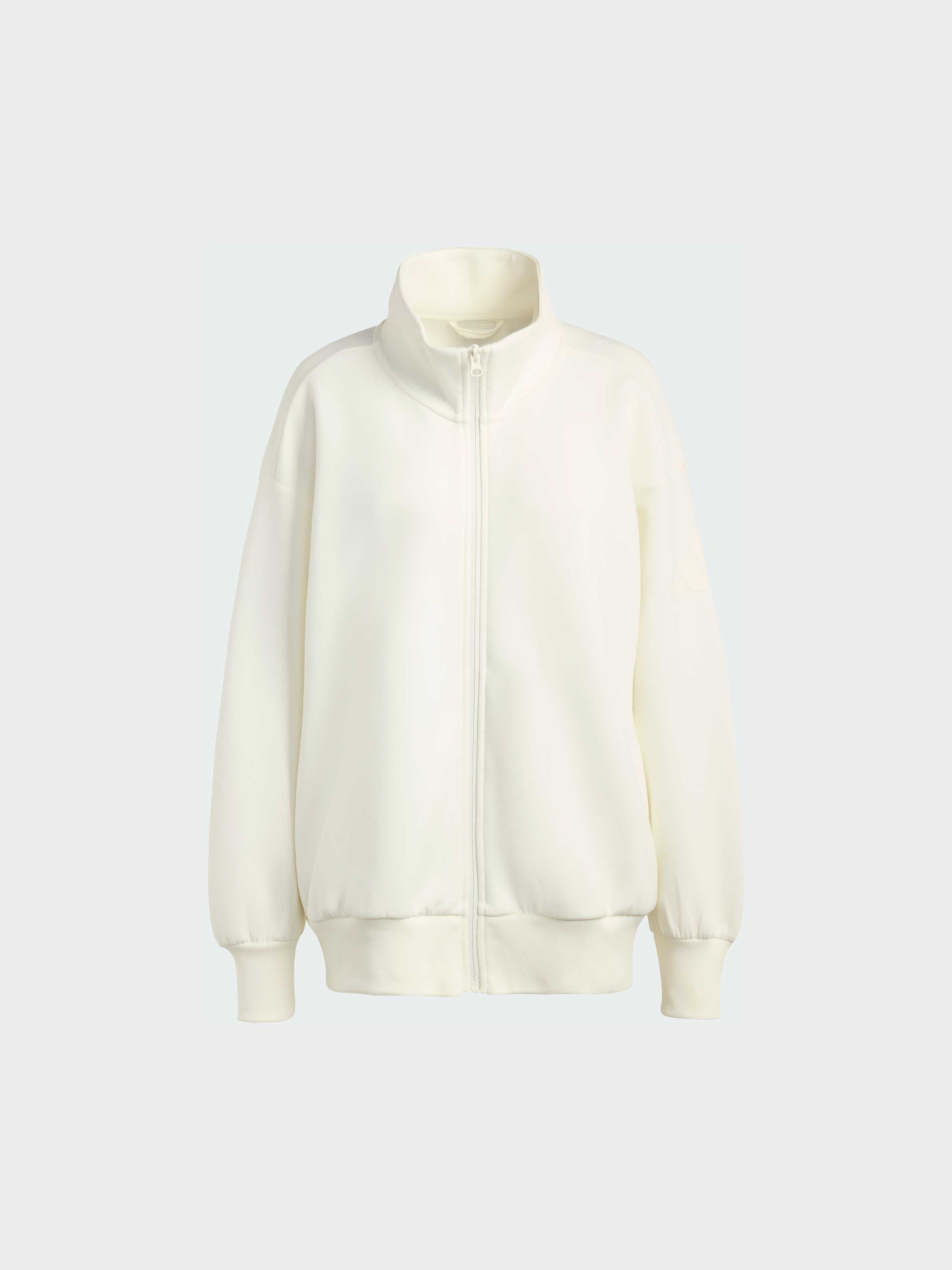 Олимпийка ALL SZN Soft Lux Loose Full-Zip модель KA7022 Фото