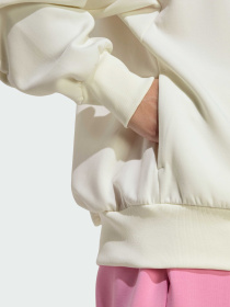 Олимпийка ALL SZN Soft Lux Loose Full-Zip модель KA7022 Фото