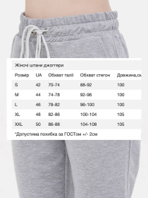 Спортивні штани HiBrand модель Wn252 Фото