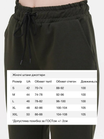 Спортивні штани HiBrand модель Wn254 Фото