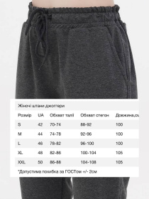 Штаны спортивные HiBrand модель Wn256 Фото