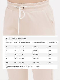 Штаны спортивные HiBrand модель Wn257 Фото