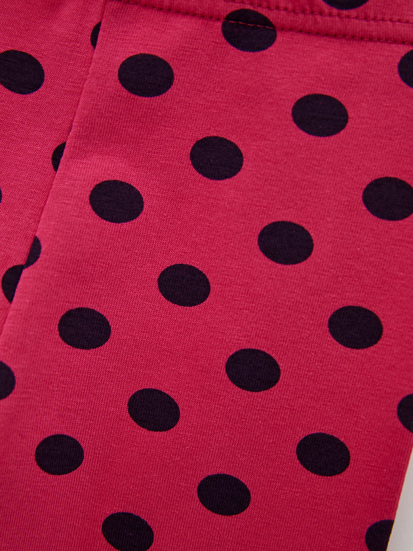 Леггинсы Роза модель 2101141 Фото