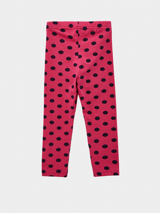 Леггинсы Роза модель 2101141 Фото