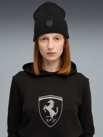 Шапки и кепки PUMA Ferrari Pro Mid Crown Beanie модель 026428 Фото