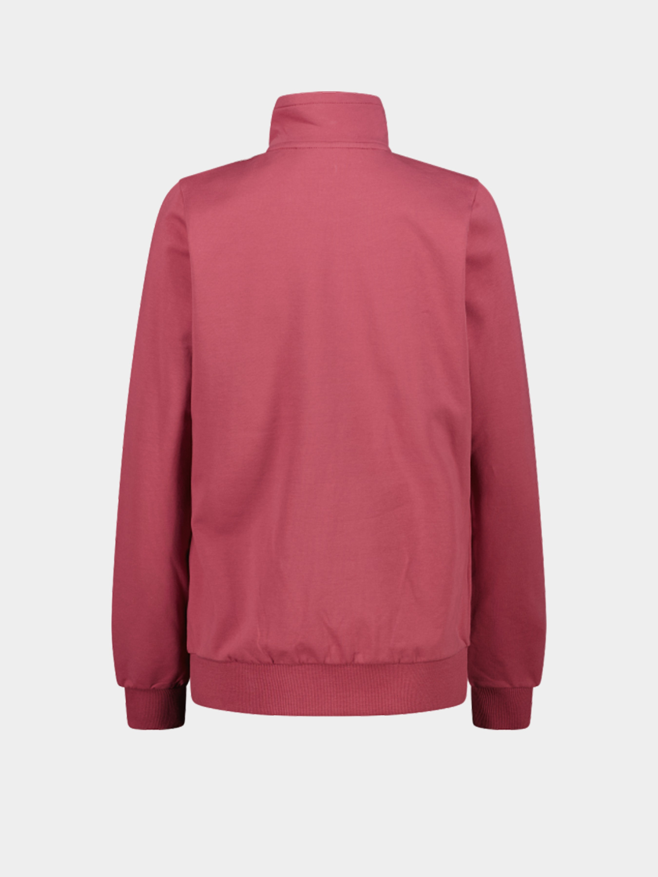 Женский реглан CMP JACKET STRETCH BRUSHED FLEECE модель 31D4266-B709 Фото