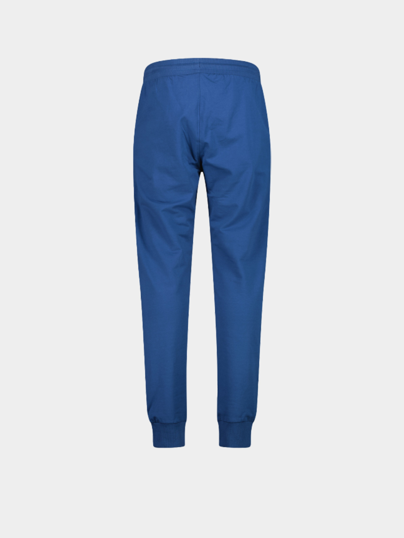 Чоловічі спортивні штани CMP LONG PANT STRETCH BRUSHED FLEE модель 31D4337-N825 Фото