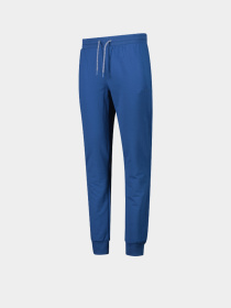 Чоловічі спортивні штани CMP LONG PANT STRETCH BRUSHED FLEE модель 31D4337-N825 Чоловічі спортивні штани CMP LONG PANT STRETCH BRUSHED FLEE модель 31D4337-N825 Фото