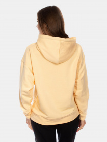 Худи AVECS модель 50256-54 Фото