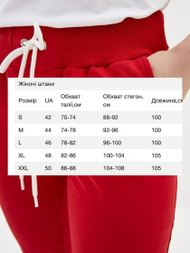 Штаны спортивные HiBrand модель Wn260 Штаны спортивные HiBrand модель Wn260 Фото