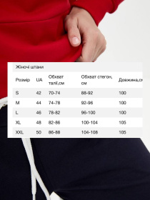 Штаны спортивные HiBrand модель Wn264 Фото