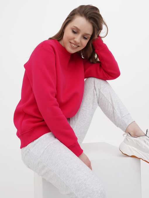 Свитшот модель SWF1062NV25CTPO Фото