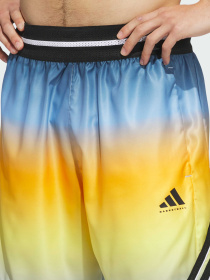 Шорты adidas Crazy Lite AOP модель JM6836 Фото