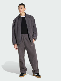 Спортивные брюки BORG FLEECE TEAMGEIST модель KR7613 Фото