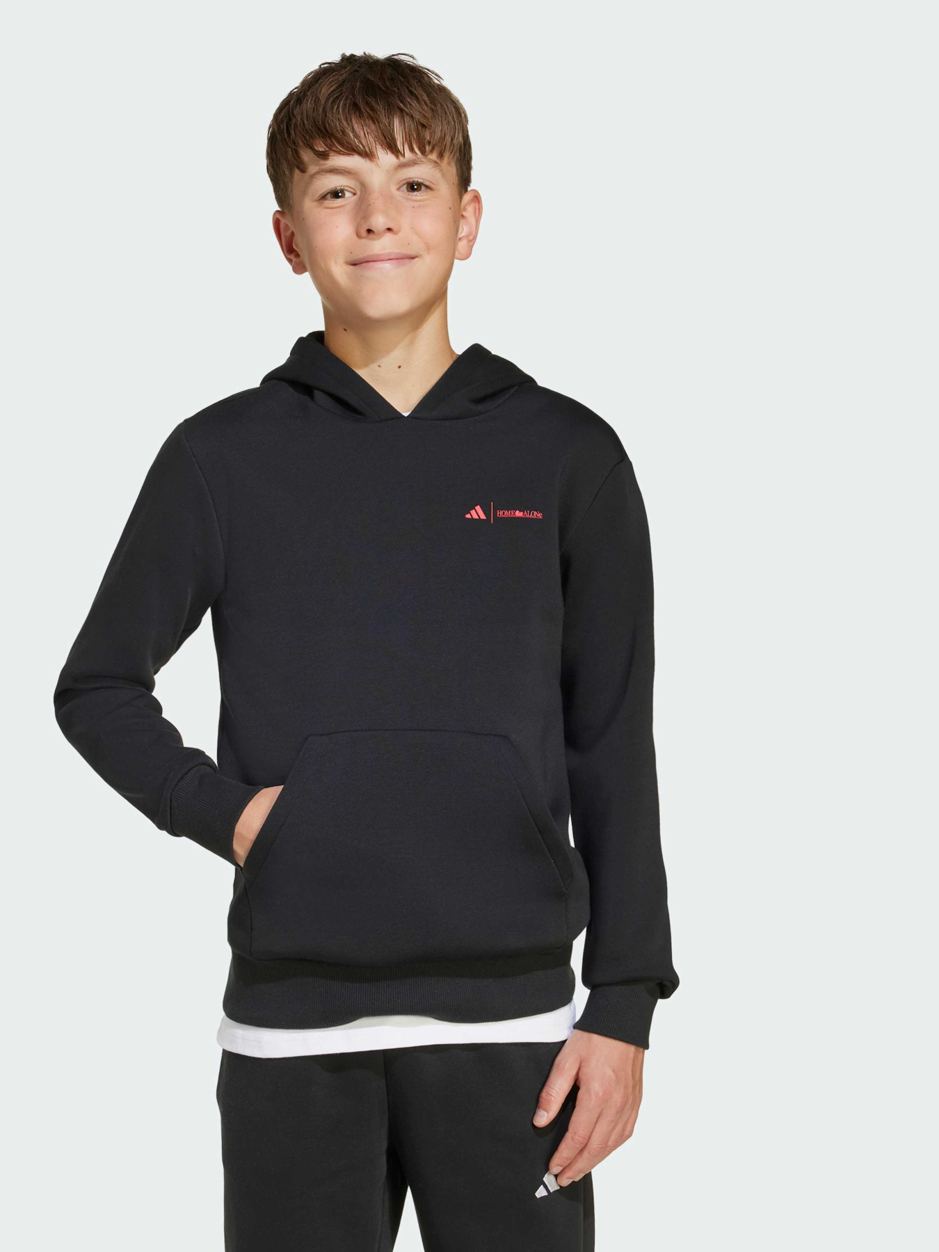 Худи ADIDAS 20TH CENTURY FOX HOME ALONE модель JW2459 Фото