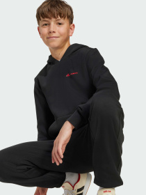 Худи Adidas модель JW2459 Фото