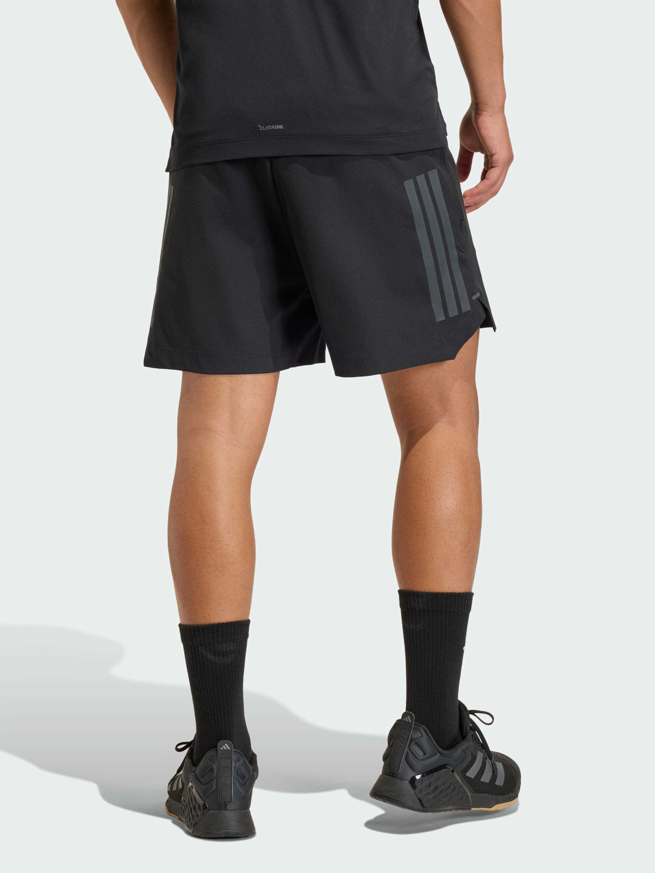 Шорты спортивные Adidas модель KD0353 Шорты спортивные Adidas модель KD0353 Фото