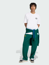 Футболка Adidas Graphics модель KE2252 Фото