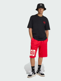 Футболка Adidas Graphics модель KE2253 Футболка Adidas Graphics модель KE2253 Фото