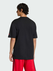 Футболка Adidas Graphics модель KE2253 Фото