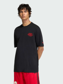 Футболка Adidas Graphics модель KE2253 Фото