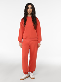 Худі Promin модель 2920-08_529 Фото