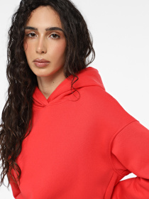 Худи Promin модель 2080-52_531 Фото