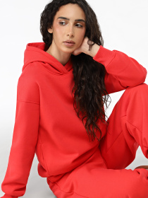 Худи Promin модель 2080-52_531 Фото