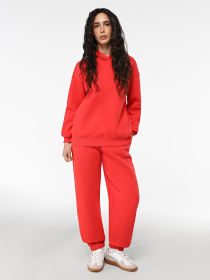 Худи Promin модель 2080-52_531 Фото