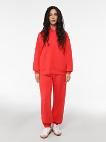 Джогери Promin модель 2040-127_531 Фото