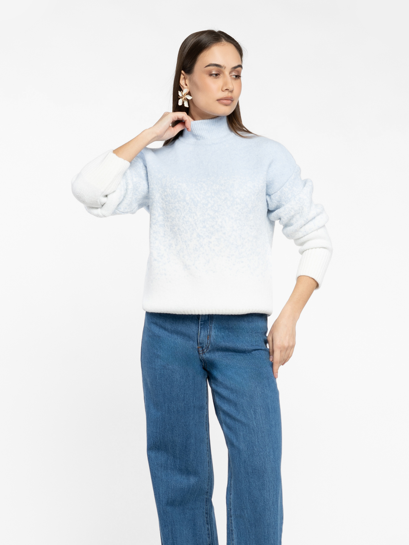 Светр Arber модель W10.41.01.535 Фото