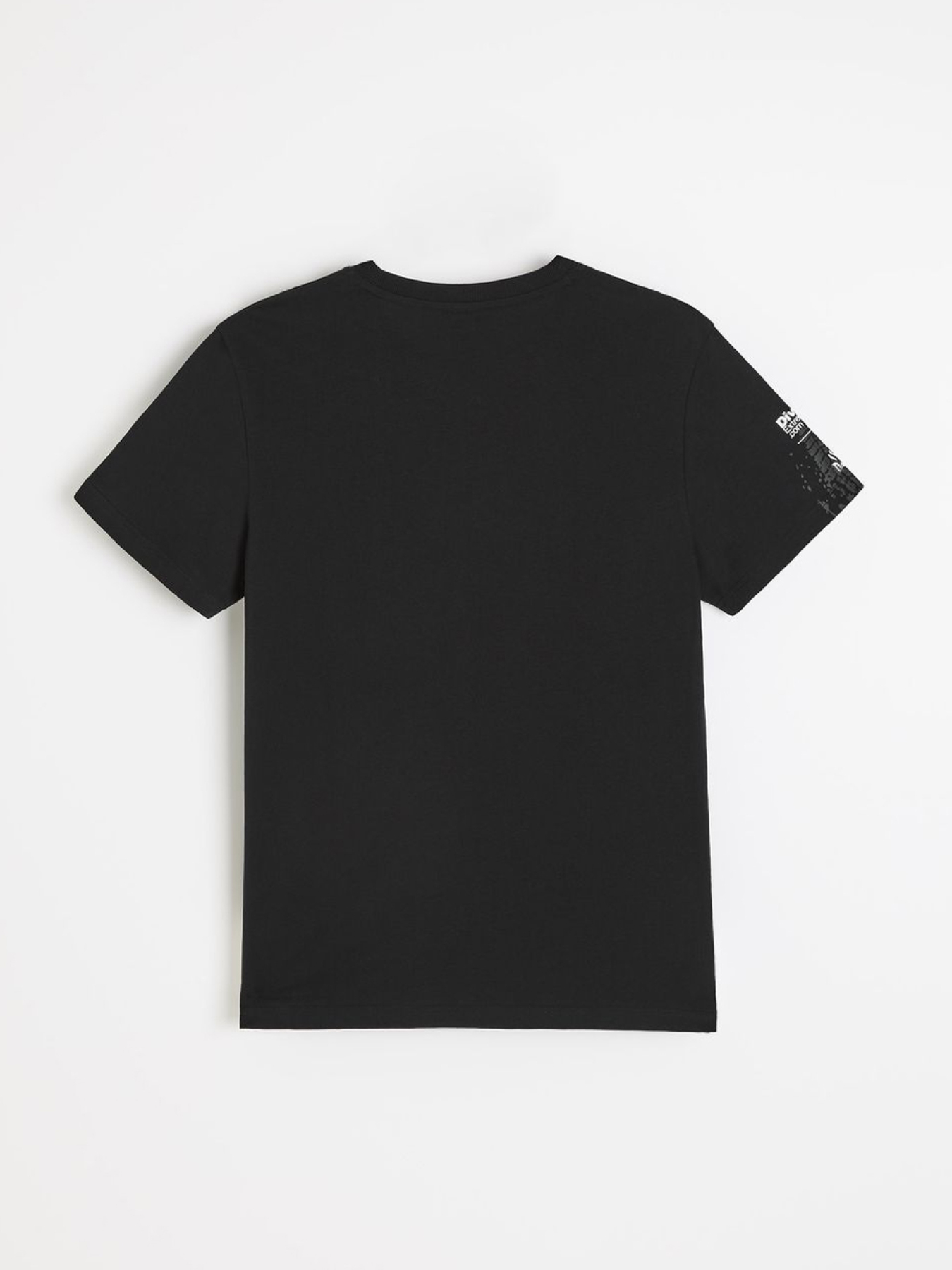 Футболка DIVERSE Dkr Des 2025 модель 10048108 Фото