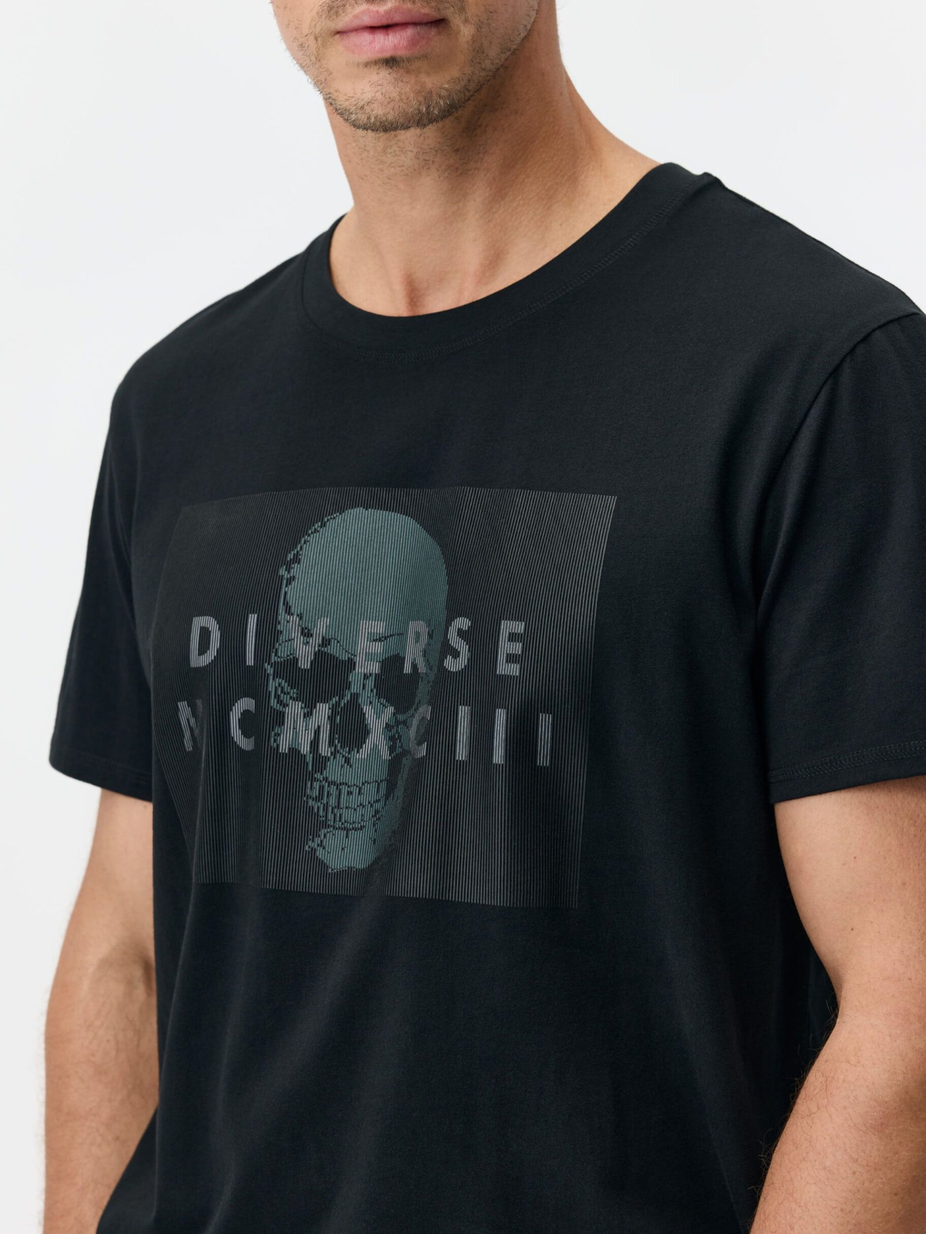 Футболка DIVERSE Prm Sk Logo модель 10048111 Фото