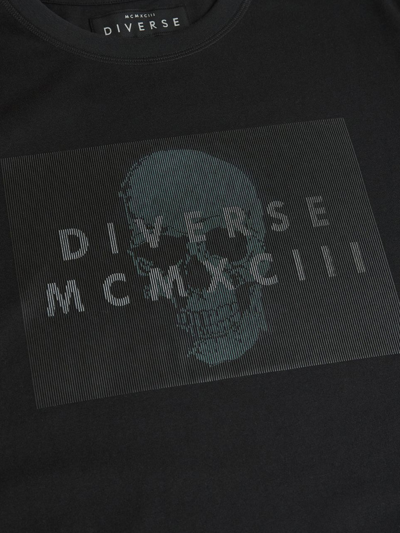 Футболка DIVERSE Prm Sk Logo модель 10048111 Фото