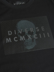Футболка DIVERSE Prm Sk Logo модель 10048111 Фото
