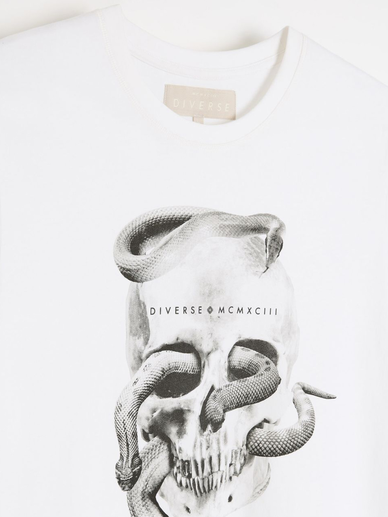 Футболка чоловіча PRM SK 02 з принтом біла модель 10048113 Фото